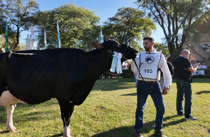 Cabaña «La Lilia» de Barberis, gran ganadora en los Concursos de Holando Argentino en TodoLáctea 2026