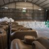 Día del Ambiente: El agro argentino enfrenta el desafío de 1,3 millones de kilos de plástico que no pudieron reciclarse