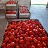 Alianza entre BASF y NODO: más de 5,5 millones de raciones rescatadas para combatir el hambre y el impacto ambiental