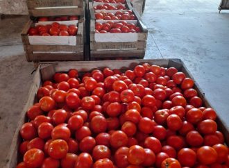 Alianza entre BASF y NODO: más de 5,5 millones de raciones rescatadas para combatir el hambre y el impacto ambiental