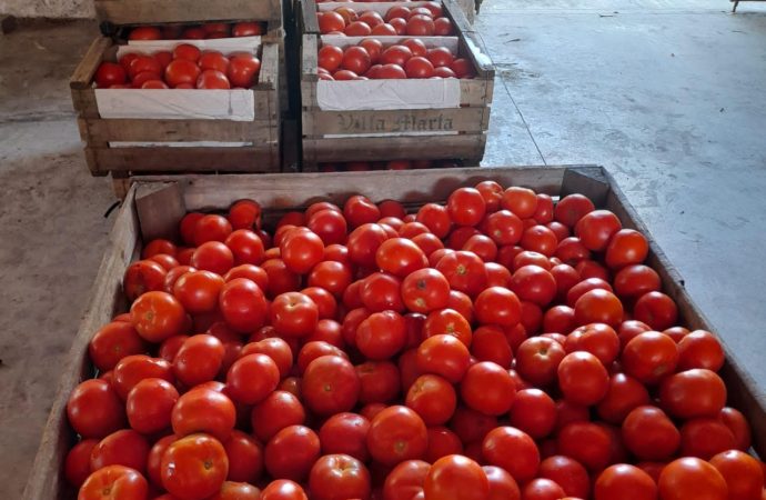 Alianza entre BASF y NODO: más de 5,5 millones de raciones rescatadas para combatir el hambre y el impacto ambiental