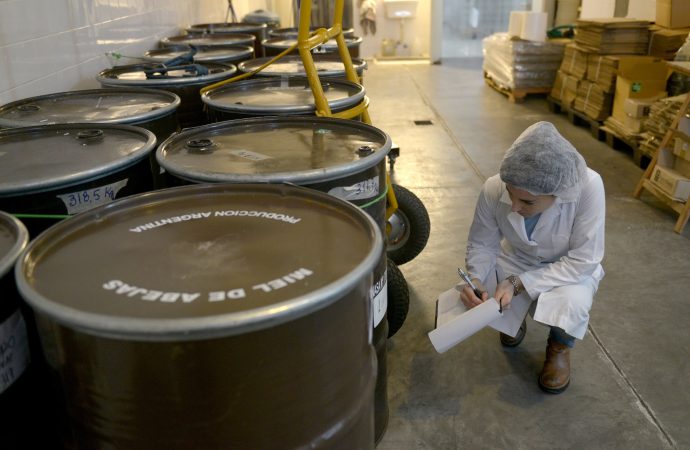 Récord en las exportaciones regionales: Argentina alcanza cifras inéditas en 22 años