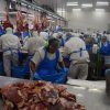 La faena vacuna alcanzó el millón de cabezas en mayo, aunque mantiene una marcada caída interanual