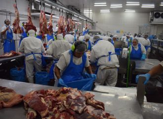 La faena vacuna alcanzó el millón de cabezas en mayo, aunque mantiene una marcada caída interanual