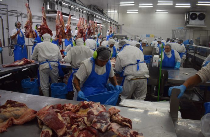 La faena vacuna alcanzó el millón de cabezas en mayo, aunque mantiene una marcada caída interanual