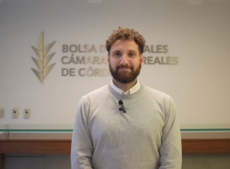 Perspectivas optimistas para el trigo: entre la baja de retenciones y un clima que promete una cosecha histórica