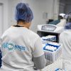 La cosecha que no descansa: cómo el cultivo de hongos en Pilar logró cuadruplicar su producción