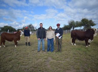 Presentaron en Quilino el remate de Cabaña Los Socavones, la gran cita Braford en el Norte cordobés