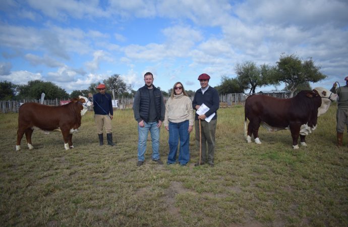 Presentaron en Quilino el remate de Cabaña Los Socavones, la gran cita Braford en el Norte cordobés