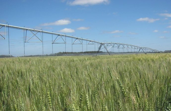 El riego agrícola en Argentina: de “seguro contra la sequía” a motor de la intensificación productiva