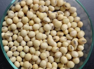 El Gobierno lanza un nuevo protocolo para la identificación de variedades de  semillas