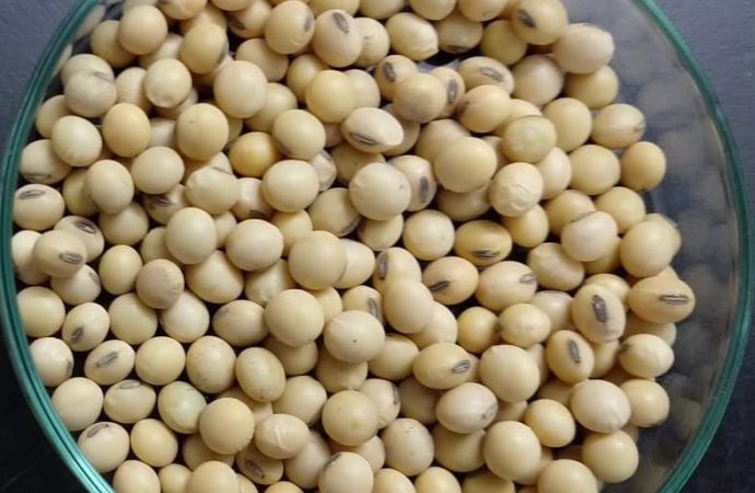 El Gobierno lanza un nuevo protocolo para la identificación de variedades de semillas