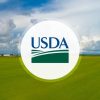 Granos en Alza: ¿Qué Cambiará el Informe del USDA?