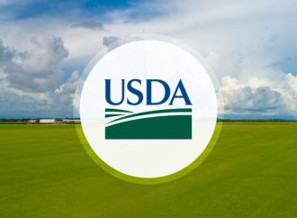 Granos en Alza: ¿Qué Cambiará el Informe del USDA?