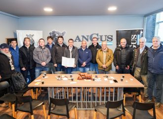 Alianza estratégica: Angus firma un convenio con centros de inseminación para expandir sus programas de registros