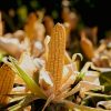 Alerta en los mercados: el clima y China disparan los precios