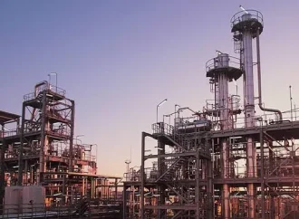 Triunfo clave para el agro: la soja argentina recupera terreno en el mercado europeo de biocombustibles