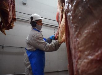 Tensión en el mercado cárnico: China se encamina a agotar sus cupos de importación de carne vacuna