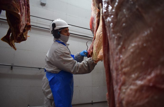 Tensión en el mercado cárnico: China se encamina a agotar sus cupos de importación de carne vacuna