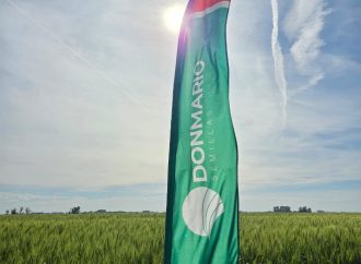Innovación y rinde: DONMARIO apuesta a los trigos de ciclo corto y la tecnología genética para potenciar la campaña