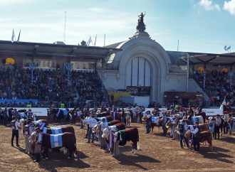 La Expo Rural 2026 cerró una edición récord: más de 1,3 millones de personas visitaron la muestra