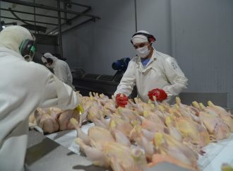 Argentina recupera el mercado europeo para la exportación de carne aviar