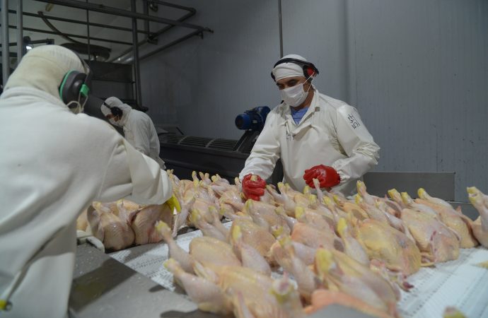 Argentina recupera el mercado europeo para la exportación de carne aviar