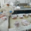 Hito para la ganadería argentina: se completó el 100% de la Cuota Hilton con ingresos por USD 406 millones