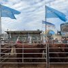 El IPCVA impulsa la competitividad ganadera con una intensa agenda técnica e institucional