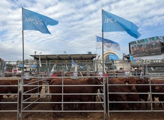 El IPCVA impulsa la competitividad ganadera con una intensa agenda técnica e institucional