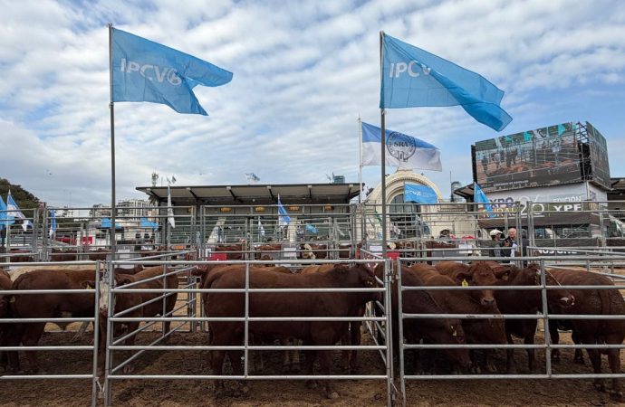 El IPCVA impulsa la competitividad ganadera con una intensa agenda técnica e institucional