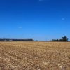 La arquitectura del suelo: El INTA revela cómo el manejo agrícola transforma la protección del carbono