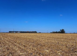 La arquitectura del suelo: El INTA revela cómo el manejo agrícola transforma la protección del carbono