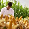 NK revoluciona Aapresid con el «Club de los Máximos Rendimientos»: una apuesta al docu-reality para mostrar el potencial del campo