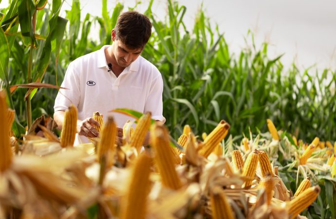 NK revoluciona Aapresid con el «Club de los Máximos Rendimientos»: una apuesta al docu-reality para mostrar el potencial del campo