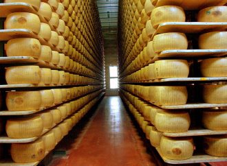 El horizonte estratégico de los quesos argentinos: una oportunidad de oro en el mercado global