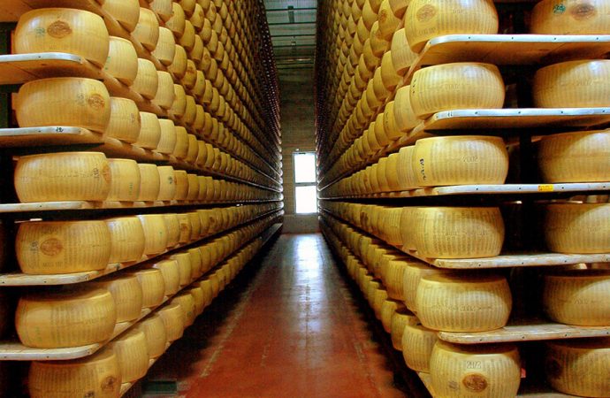 El horizonte estratégico de los quesos argentinos: una oportunidad de oro en el mercado global