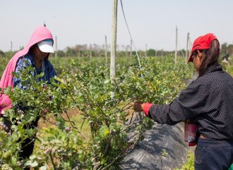 RENATRE abre la convocatoria nacional para el Programa de Empleo Rural