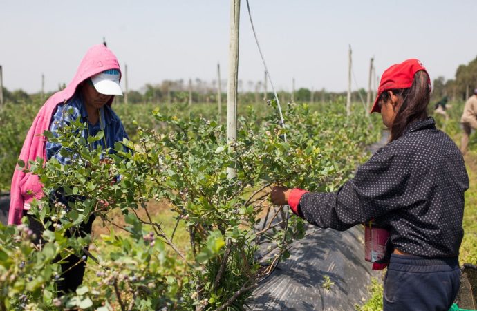 RENATRE abre la convocatoria nacional para el Programa de Empleo Rural