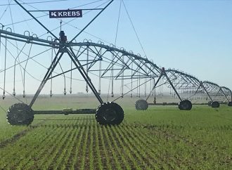 De la incertidumbre climática a la «fábrica de granos»: el impacto real del riego en el lote