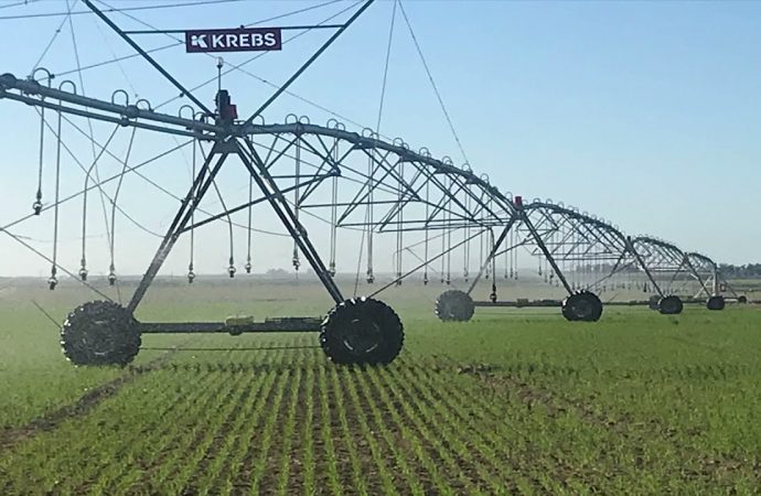 De la incertidumbre climática a la «fábrica de granos»: el impacto real del riego en el lote