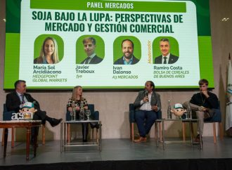 El mercado mundial de la soja cambia su estructura: el auge de los biocombustibles y el nuevo rol de China marcan la agenda