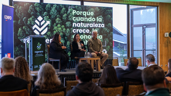 Inicio