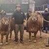 La raza Limousin dio el puntapié inicial en Palermo: Tini Tini y De Paul fueron los primeros en ingresar