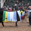 Palermo: La Rubeta se alzó con la Gran Campeón Hembra de la raza Angus