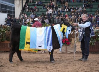 Palermo: La Rubeta se alzó con la Gran Campeón Hembra de la raza Angus