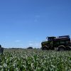 Revolución en nutrición vegetal: Yara presenta desde Argentina su primer lanzamiento global para el mundo