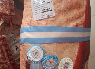 Lo que dejó el 2do Block Test de la Rural de Jesús María: Limousin arrasó con calidad «Prime» y rendimientos sin discusión