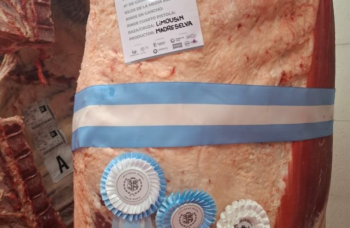 Lo que dejó el 2do Block Test de la Rural de Jesús María: Limousin arrasó con calidad «Prime» y rendimientos sin discusión