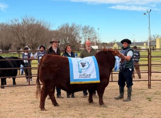 Se definieron los grandes campeones del Circuito Angus Bonaerense en Trenque Lauquen